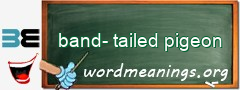 WordMeaning blackboard for band-tailed pigeon